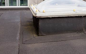 disadvantages of Upper Hale flat roofs